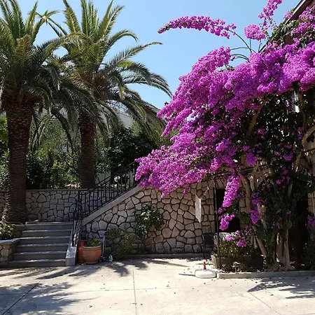 Nives Apartament *